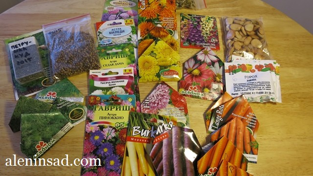 аленин сад, семена, сорта укропа, моркови, календулы, бобов, астры, кориандра, петрушки, для посева в апреле, в открытый грунт, холодостойкие сорта, культуры