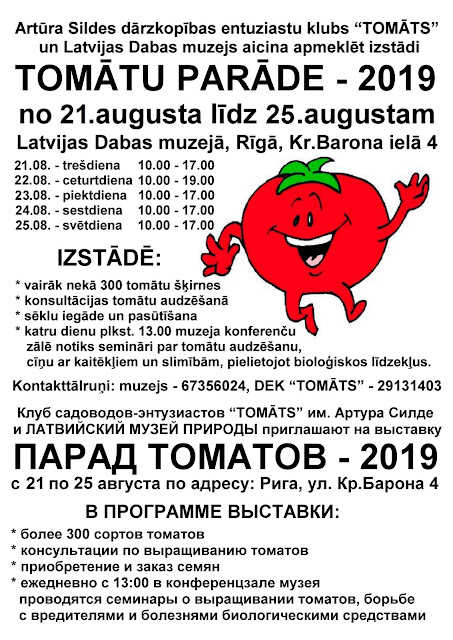 клуб Томат, Рига, помидоры, афиша